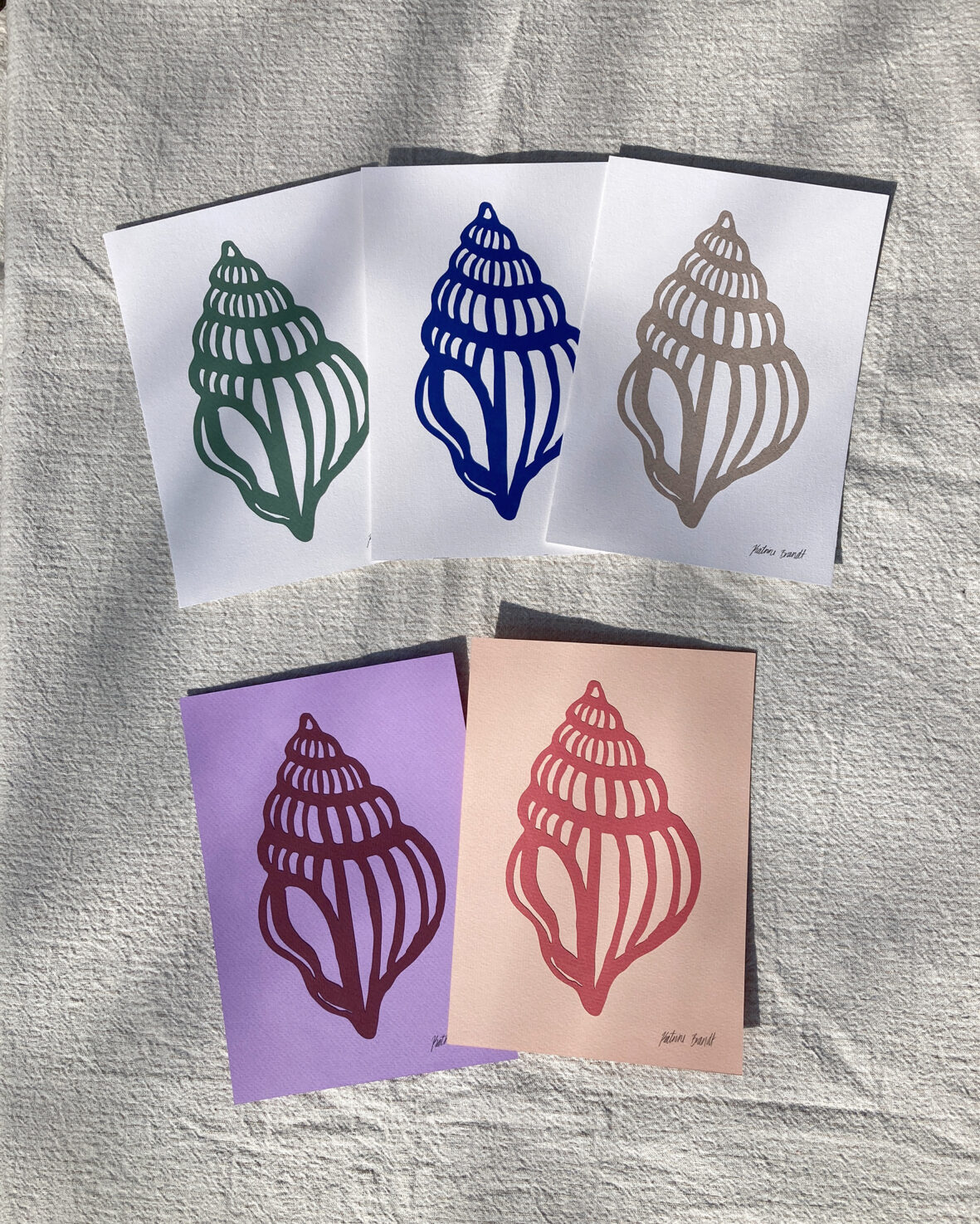 Papirklip med konkylier